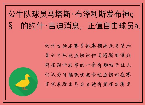 公牛队球员马塔斯·布泽利斯发布神秘的约什·吉迪消息，正值自由球员市场